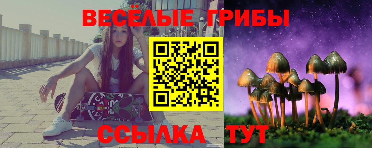 Галлюциногенные грибы Psilocybine cubensis Ухта